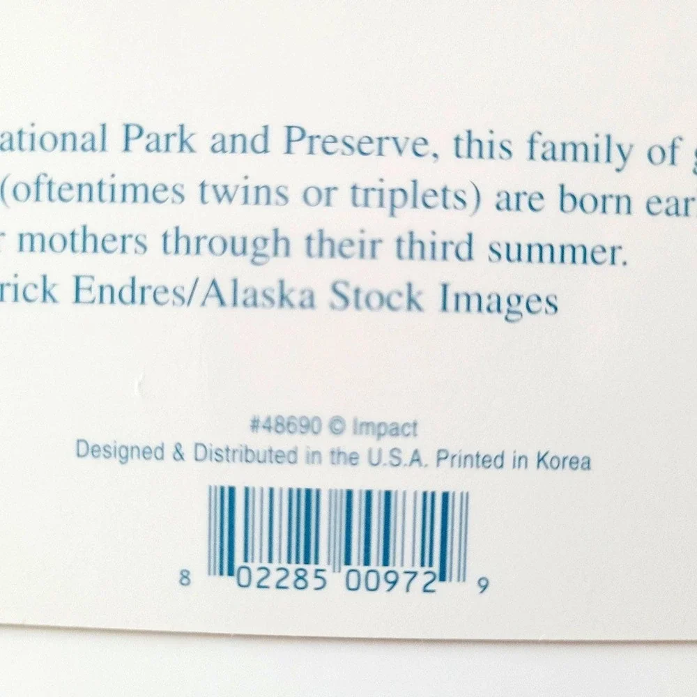Vintage Y2K Denali Park Bookmark Grizzly Bears Patrick Enders Korea Impact 48690